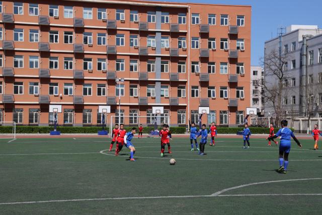 乒乓球德甲第二十一轮：樊振东独得两分  常规赛主场收官